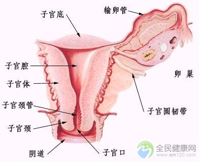 <b>习惯性流产的检查有哪些</b>